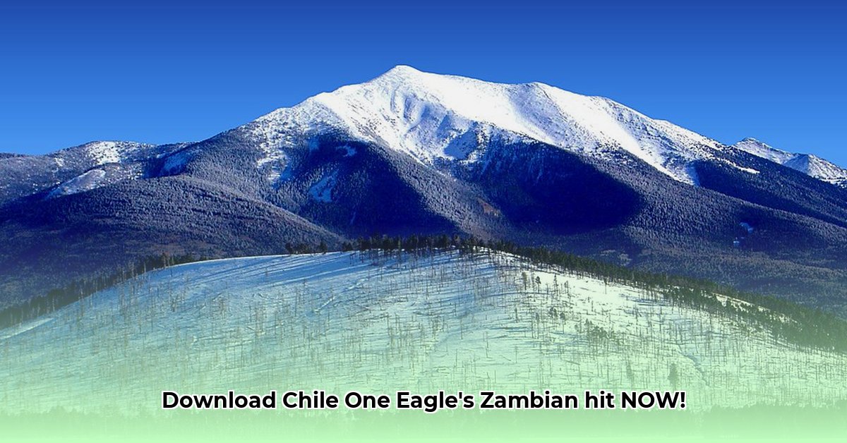 download-chile-one-eagle-one